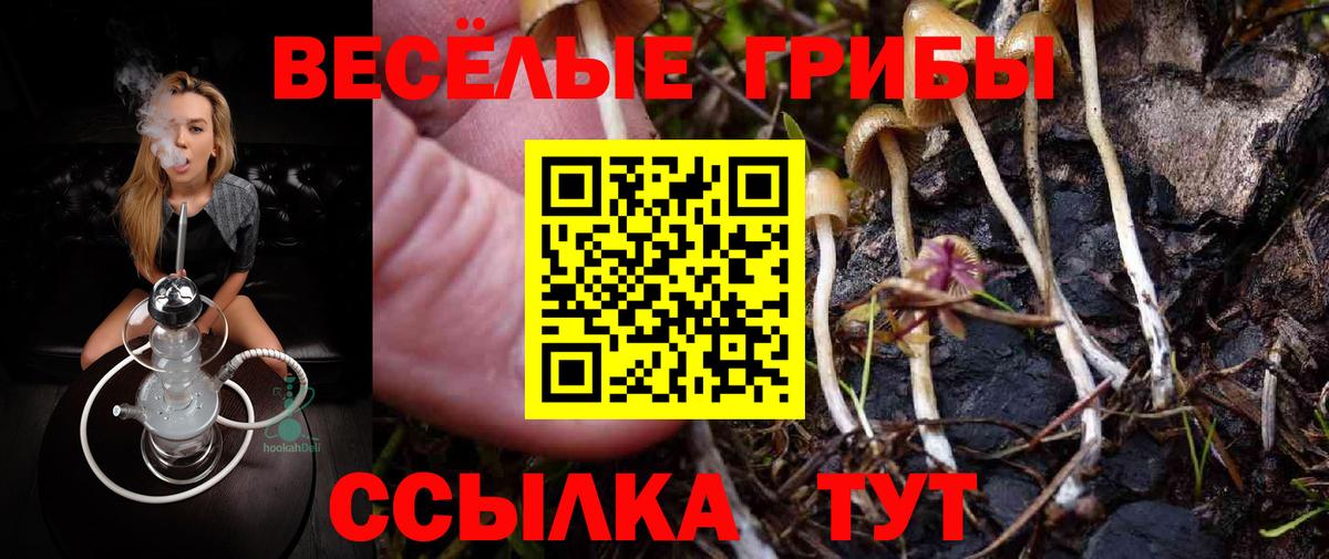 Галлюциногенные грибы Magic Shrooms Сызрань
