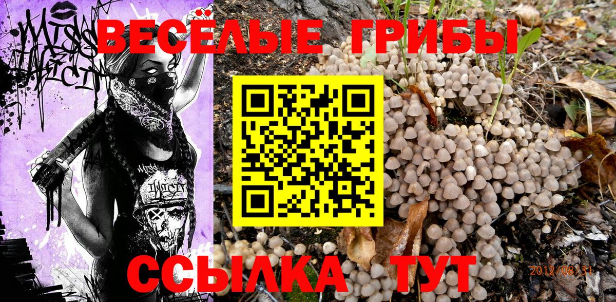 Галлюциногенные грибы ЛСД  цена наркотик  Сызрань  Вход с VPN  Псилоцибиновые грибы MAGIC MUSHROOMS 